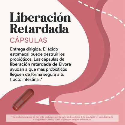 Elvora® | Probiótico Vaginal