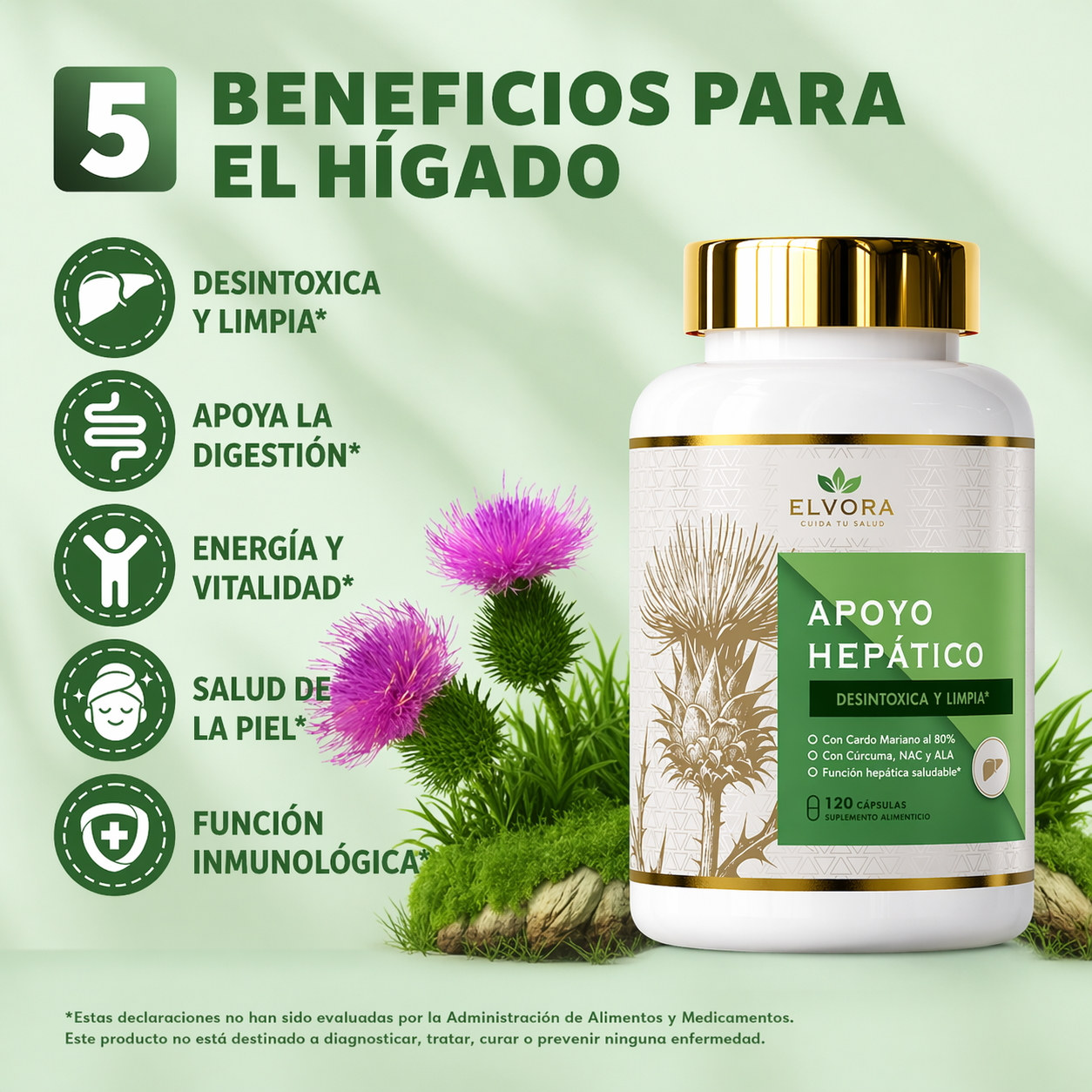 Elvora® | Limpiador de Hígado y Bienestar Interno