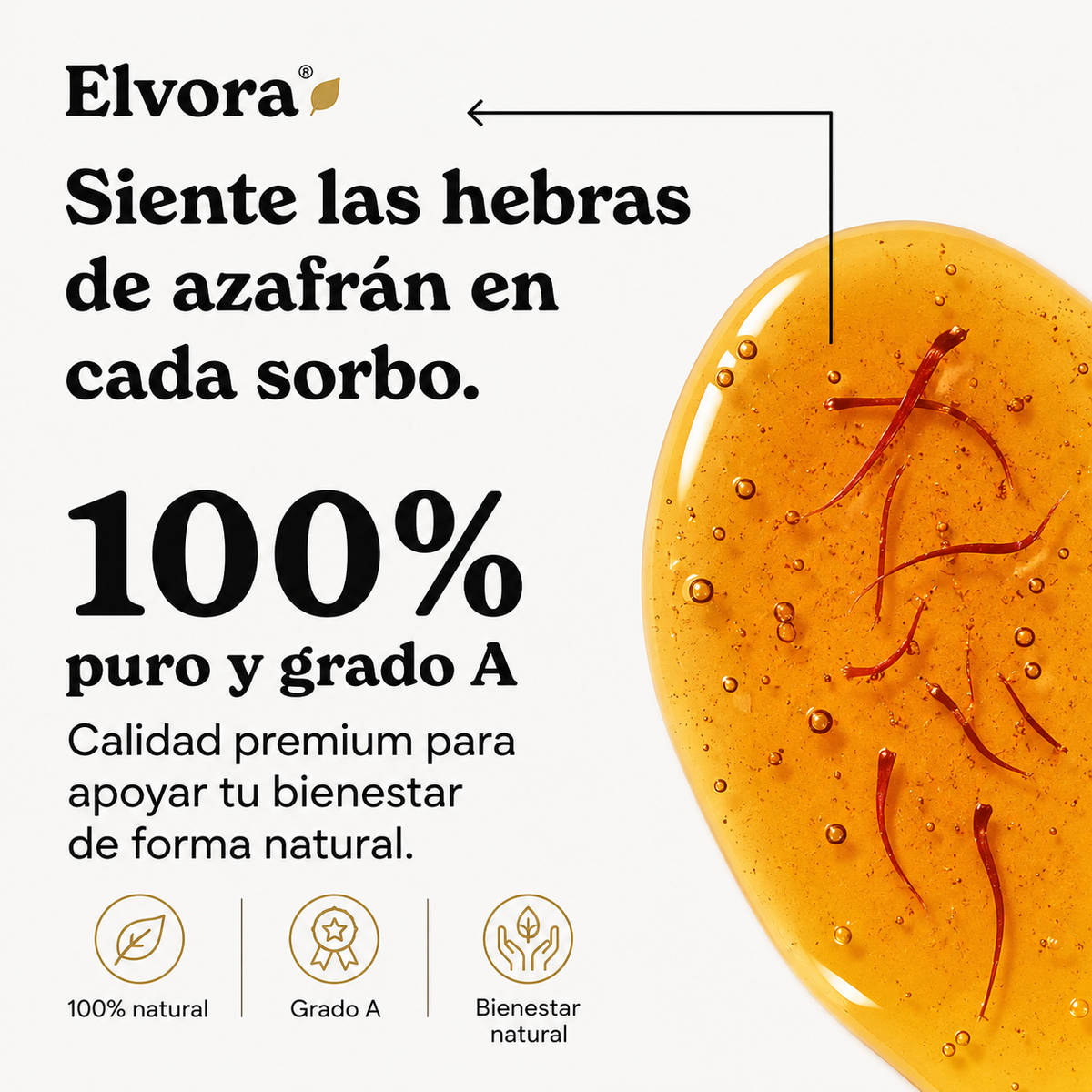 Elvora® | Miel Energética con Shilajit