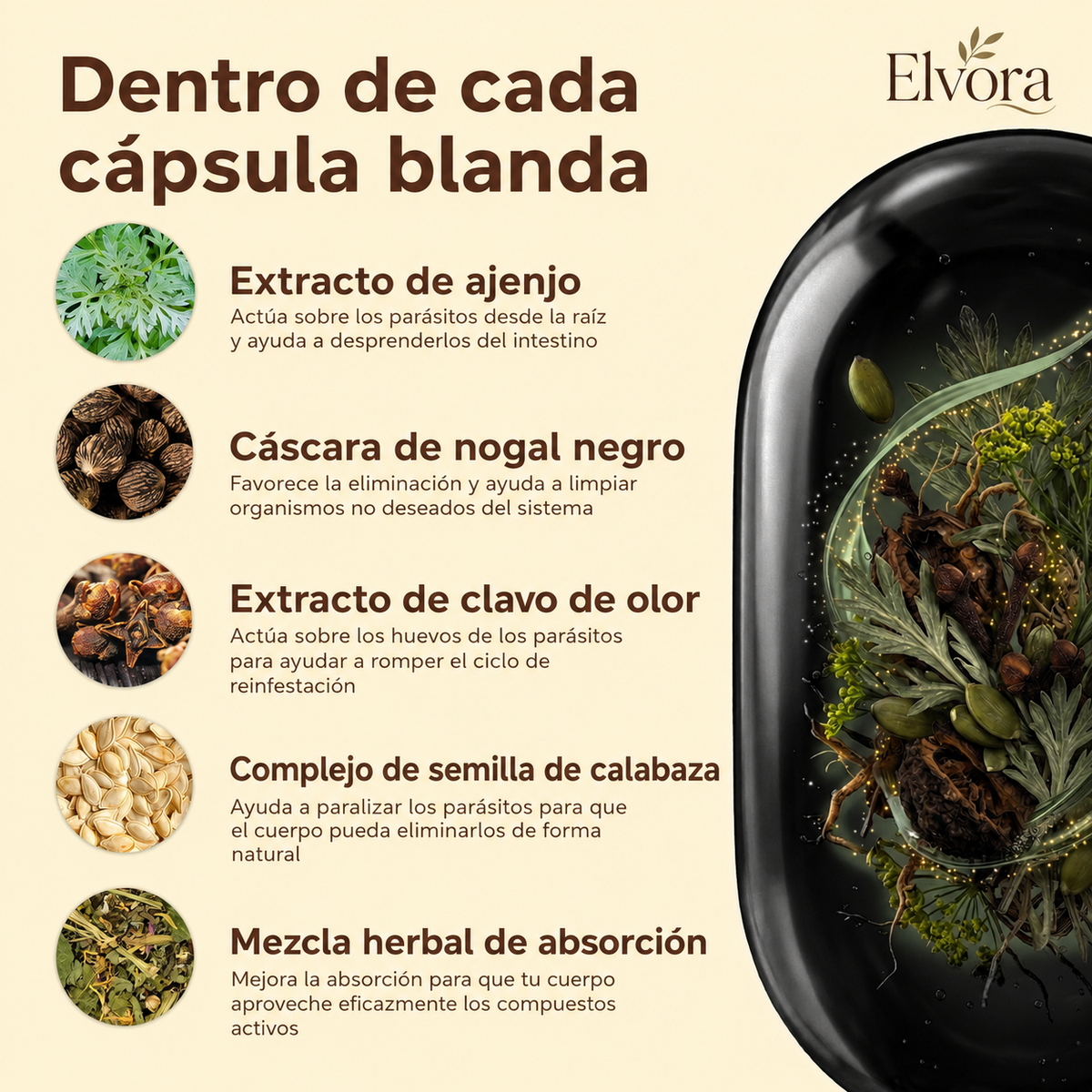 Elvora® | Elimina Parásitos Ocultos y Larvas con Ajenjo, Nogal Negro y Clavo de Olor