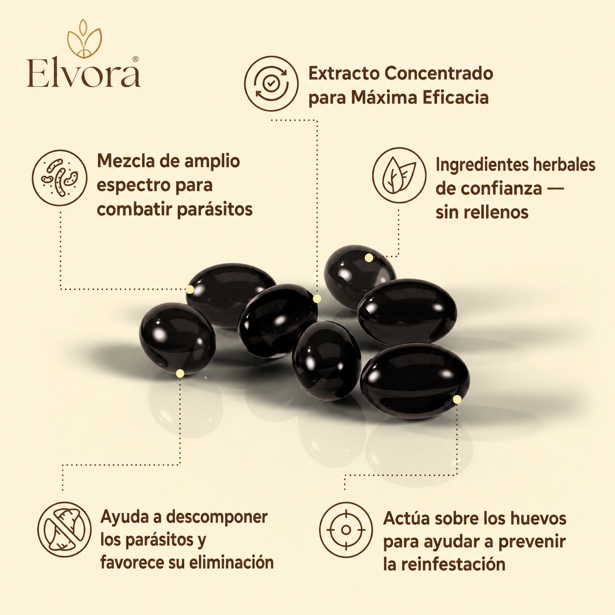 Elvora® | Elimina Parásitos Ocultos y Larvas con Ajenjo, Nogal Negro y Clavo de Olor