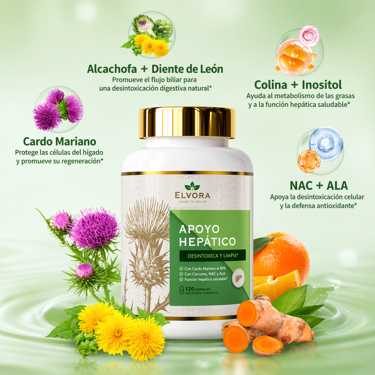 Elvora® | Limpiador de Hígado y Bienestar Interno
