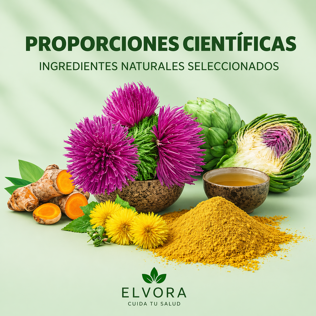 Elvora® | Limpiador de Hígado y Bienestar Interno
