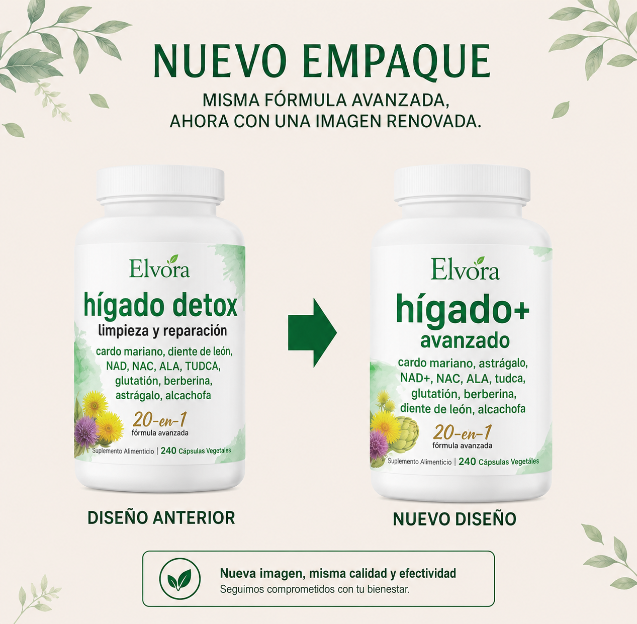 Elvora® | Limpiador de Hígado