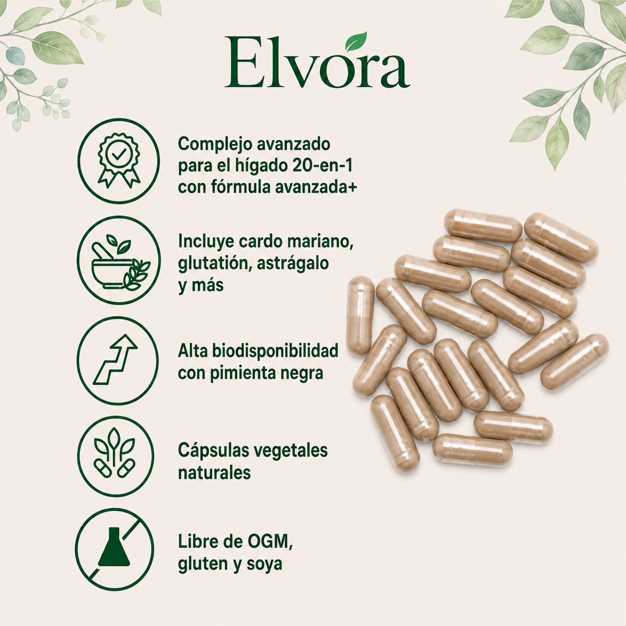 Elvora® | Limpiador de Hígado