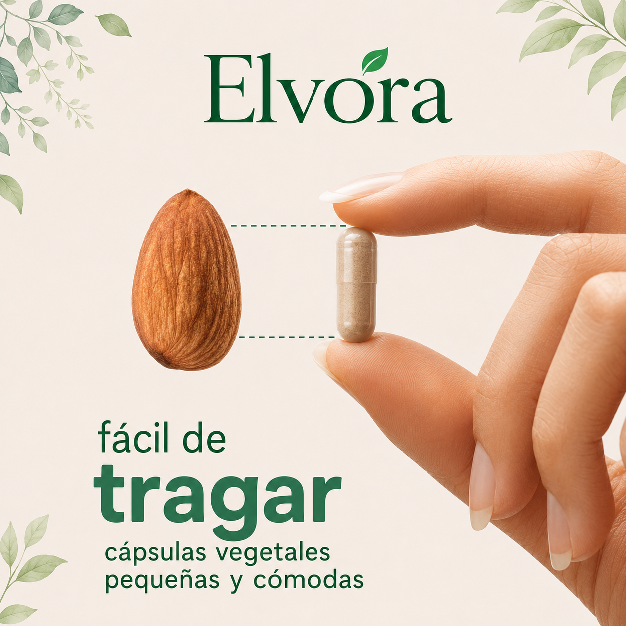 Elvora® | Limpiador de Hígado