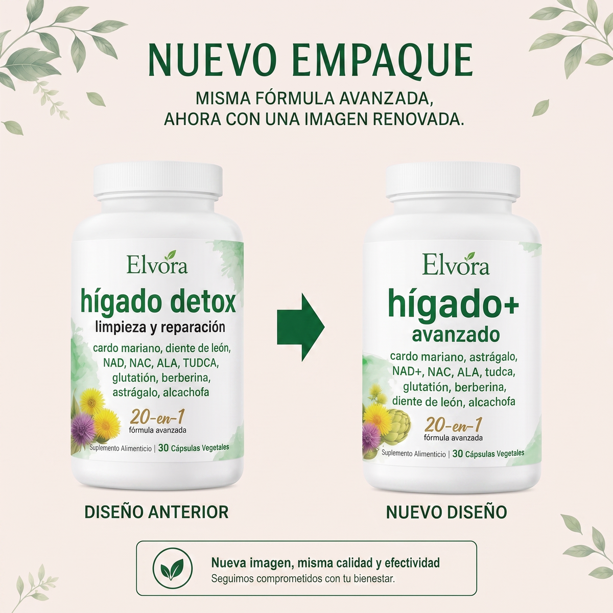 Elvora® | Limpiador de Hígado